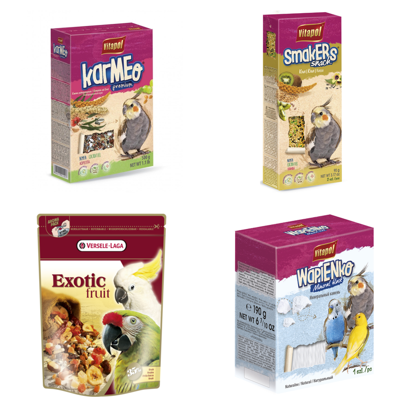 Ptak: Papuga / Nimfa