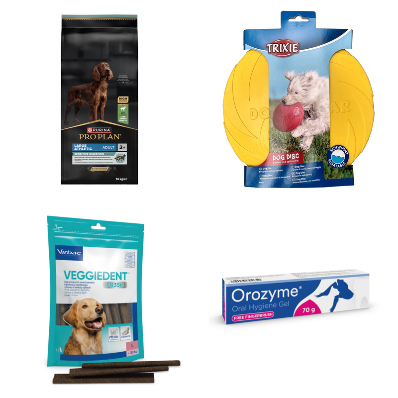 Dorosly pies: Duza rasa