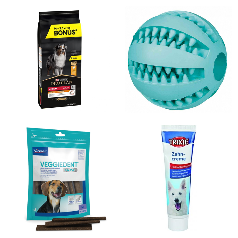 Dorosly pies: Srednia rasa