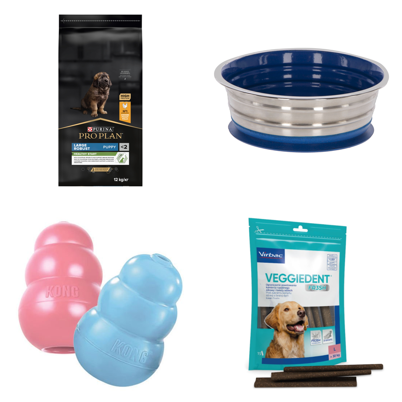 Szczeniak: Duzy pies