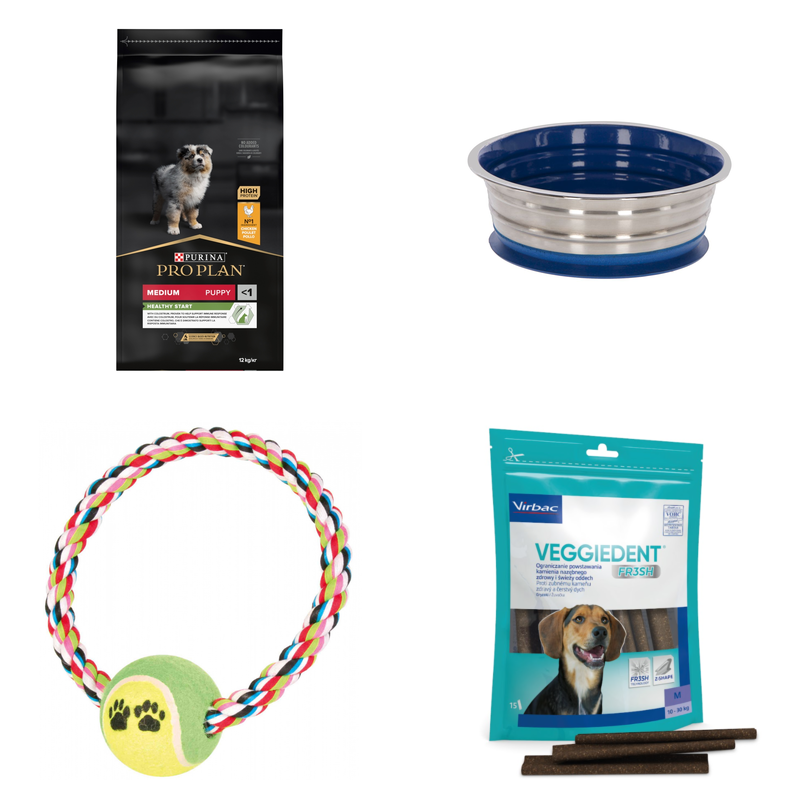 Szczeniak: Sredni pies