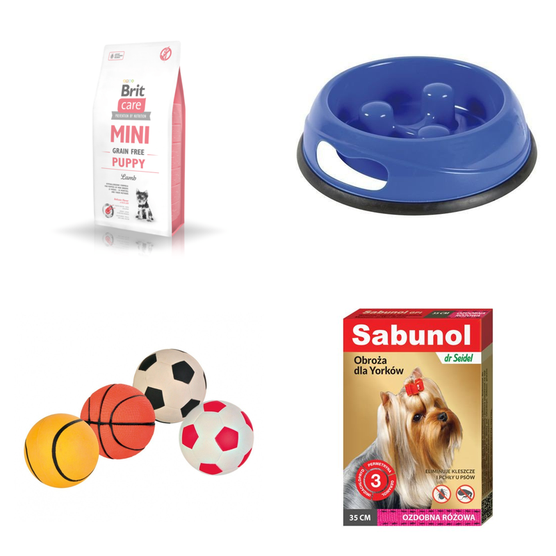 Szczeniak: Maly piesek