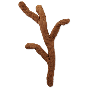 REPTI PLANET Gałąź Kokosowa 80cm