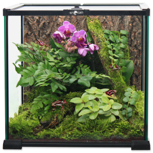 REPTI PLANET Terrarium Szklane 20x20x20cm