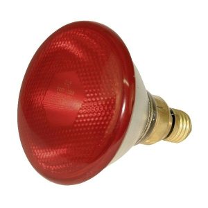 KERBL Żarówka Promiennika 100W Czerwona