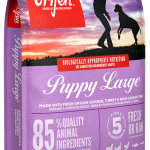 Orijen Dog Puppy Large 6kg