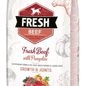 Brit Fresh Beef & Pumpkin Puppy Large Growth & Joints 12kg