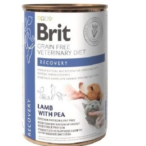Brit GF Veterinary Diets Recovery 400g