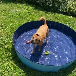 Be Cold Basen dla psa, 120x30cm