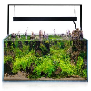 AQUAEL Zestaw Akwariowy UltraScape 90 Forest