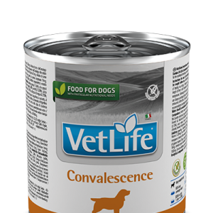 Farmina Vet Life Canine Convalescence 300g