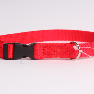 DogStuffs Obroża z plastikową klamrą 15mm/24-40cm czerwona