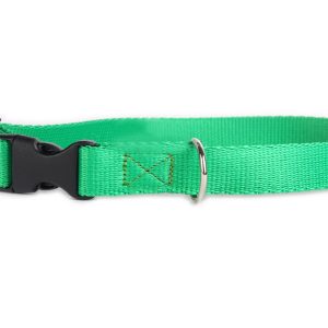 DogStuffs Obroża z plastikową klamrą 20mm/30-55cm zielona