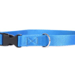 DogStuffs Obroża z plastikową klamrą 20mm/30-55cm niebieska