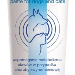 Dolfos Arthro Paste 100g