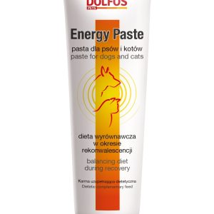 Dolfos Energy Paste 100g