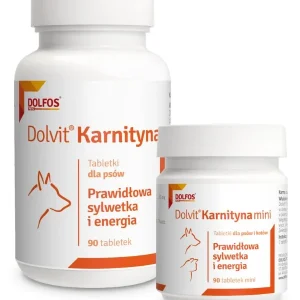 Dolfos Dolvit Karnityna 90 Tabletek