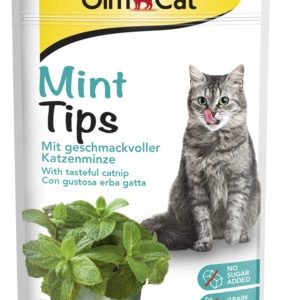Gimcat Mintips Przysmak Dla Kotów Miętowy 40g