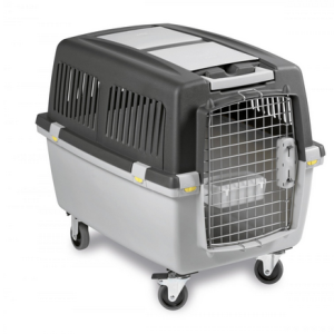 Zolux Transporter Gulliver 4 IATA 51x71x50cm