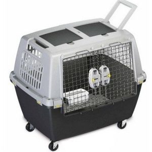 Zolux Gulliver Touring IATA