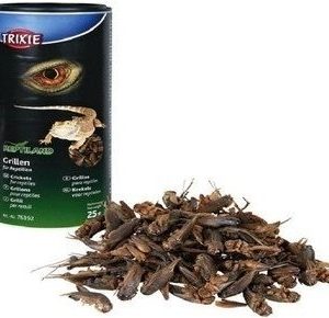 Trixie Suszone Świerszcze 25g