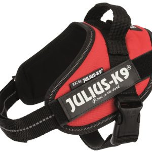 Julius-K9 Szelki 51-67cm/30mm Czerwone Rozmiar Mini