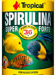 Tropical Super Spirulina Forte 250ml