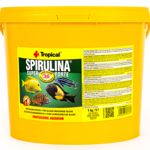 Tropical Super Spirulina Forte 5l