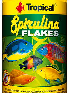 Tropical Spirulina Flakes 250ml