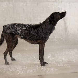 ZEE DOG Płaszczyk Przeciwdeszczowy Ozzy M