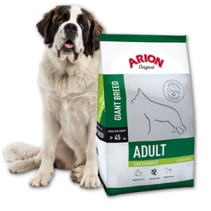 Arion Original Adult Giant Breed Chicken & Rice 12kg