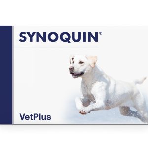 VetPlus Synoquin Efa Large Breed 30tab