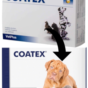 VetPlus Coatex 60 Kapsułek