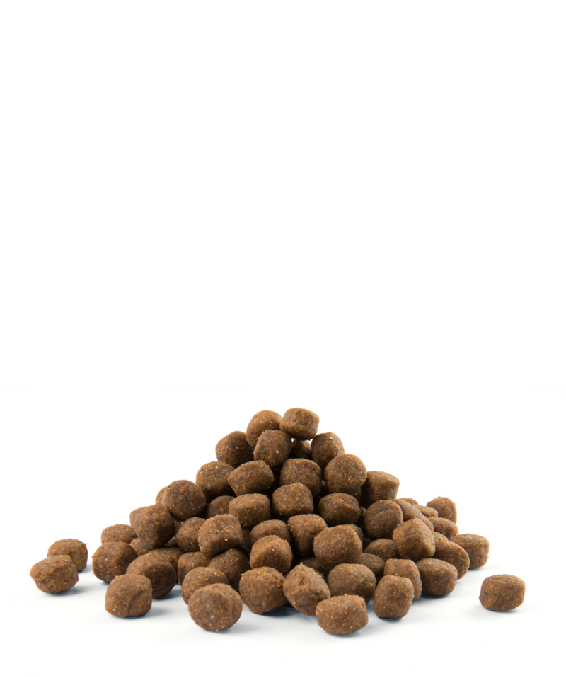 Versele-Laga Opti Life Puppy Maxi Z Kurczakiem 1kg - obrazek 2