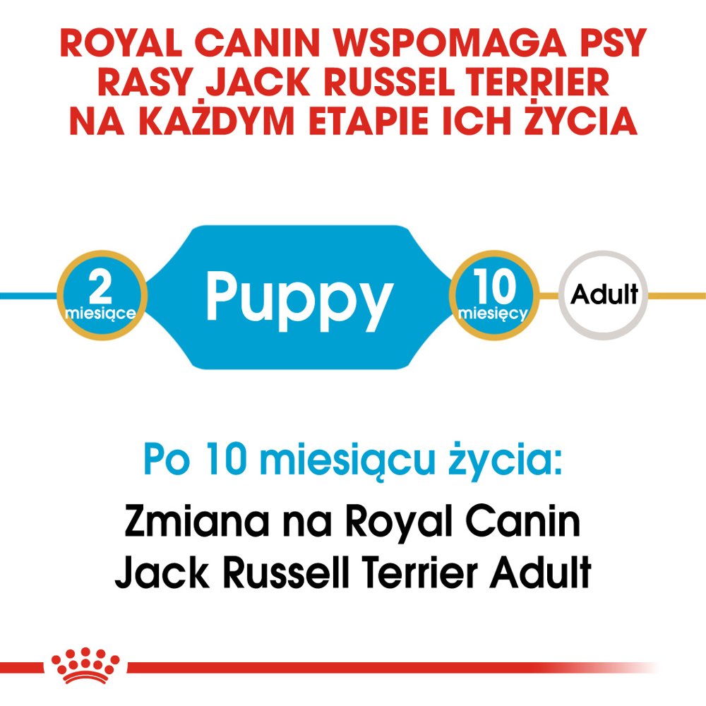 ROYAL CANIN Jack Russell Terrier Puppy 500g - obrazek 2
