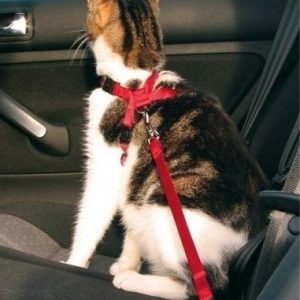 Trixie Szelki Samochodowe Dla Kota TX-1294