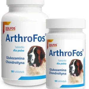 Dolfos ArthroFos 90 Tabletek