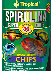 Tropical Super Spirulina Forte Chips 100ml