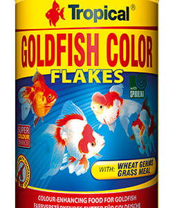 Tropical Goldfish Color 1000ml