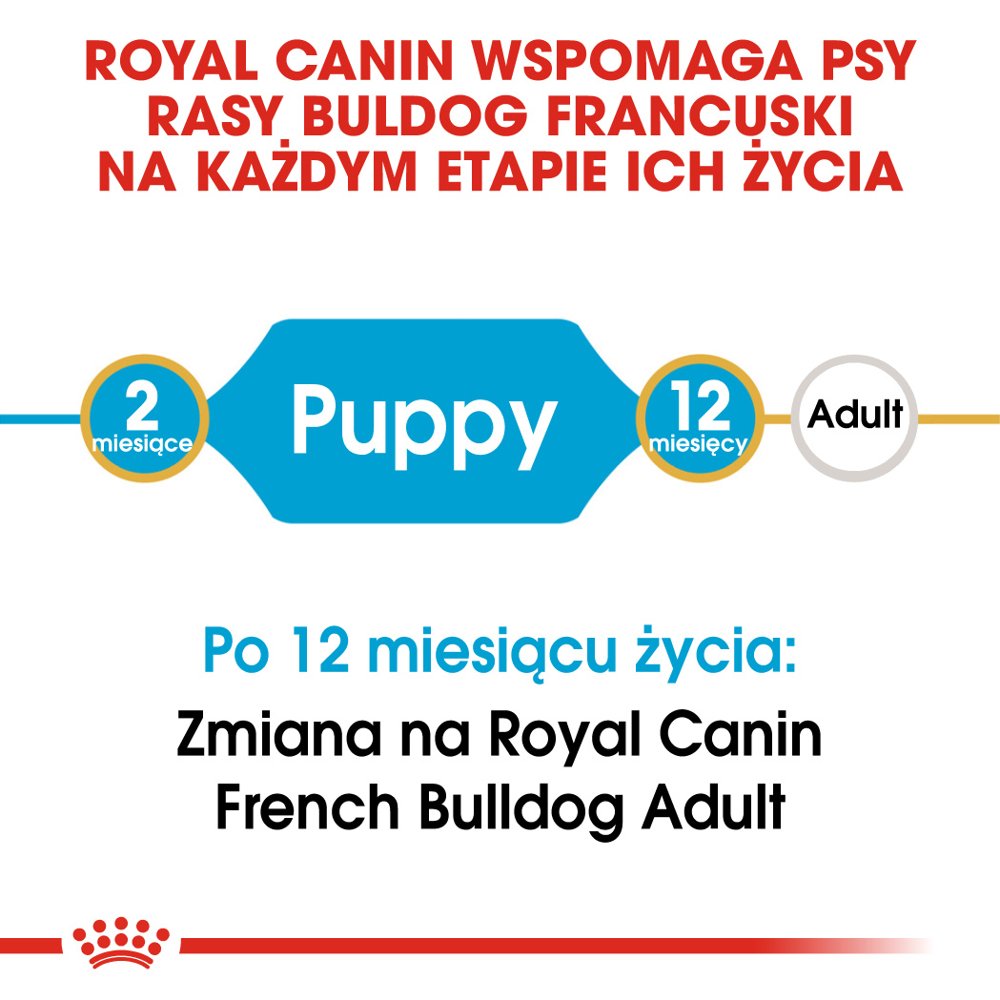 ROYAL CANIN French Bulldog Puppy 10kg - obrazek 2