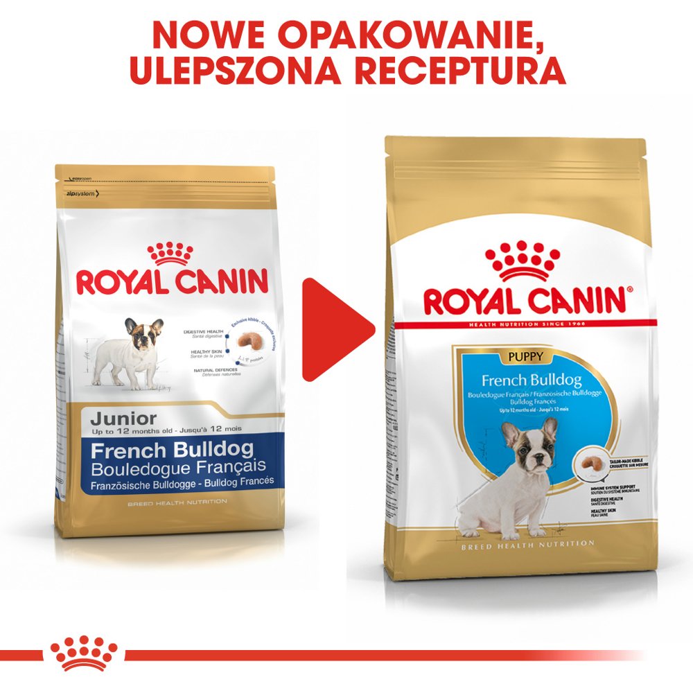 ROYAL CANIN French Bulldog Puppy 10kg - obrazek 8