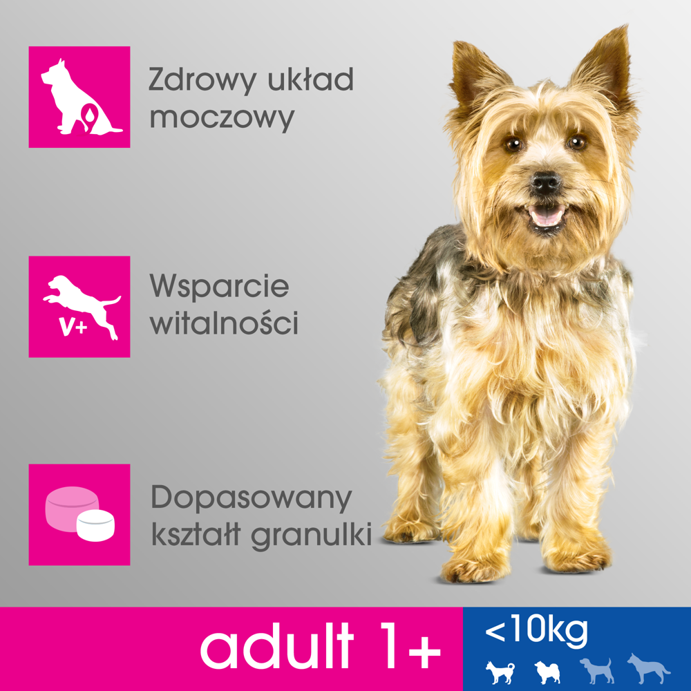 PERFECT FIT Adult 1+ Małe Rasy Z Kurczakiem 825g - obrazek 2