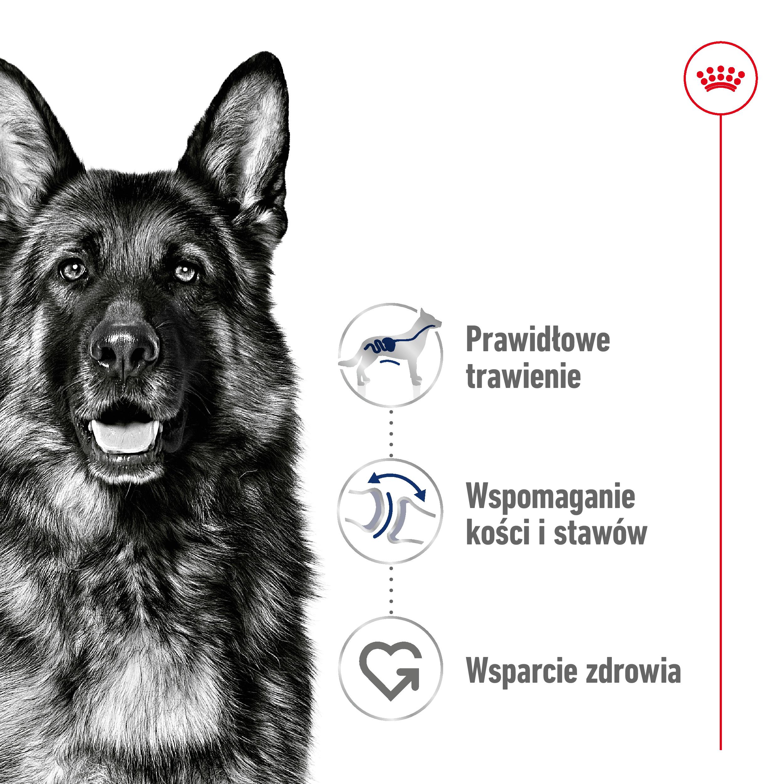 ROYAL CANIN Maxi Adult 15kg - obrazek 5