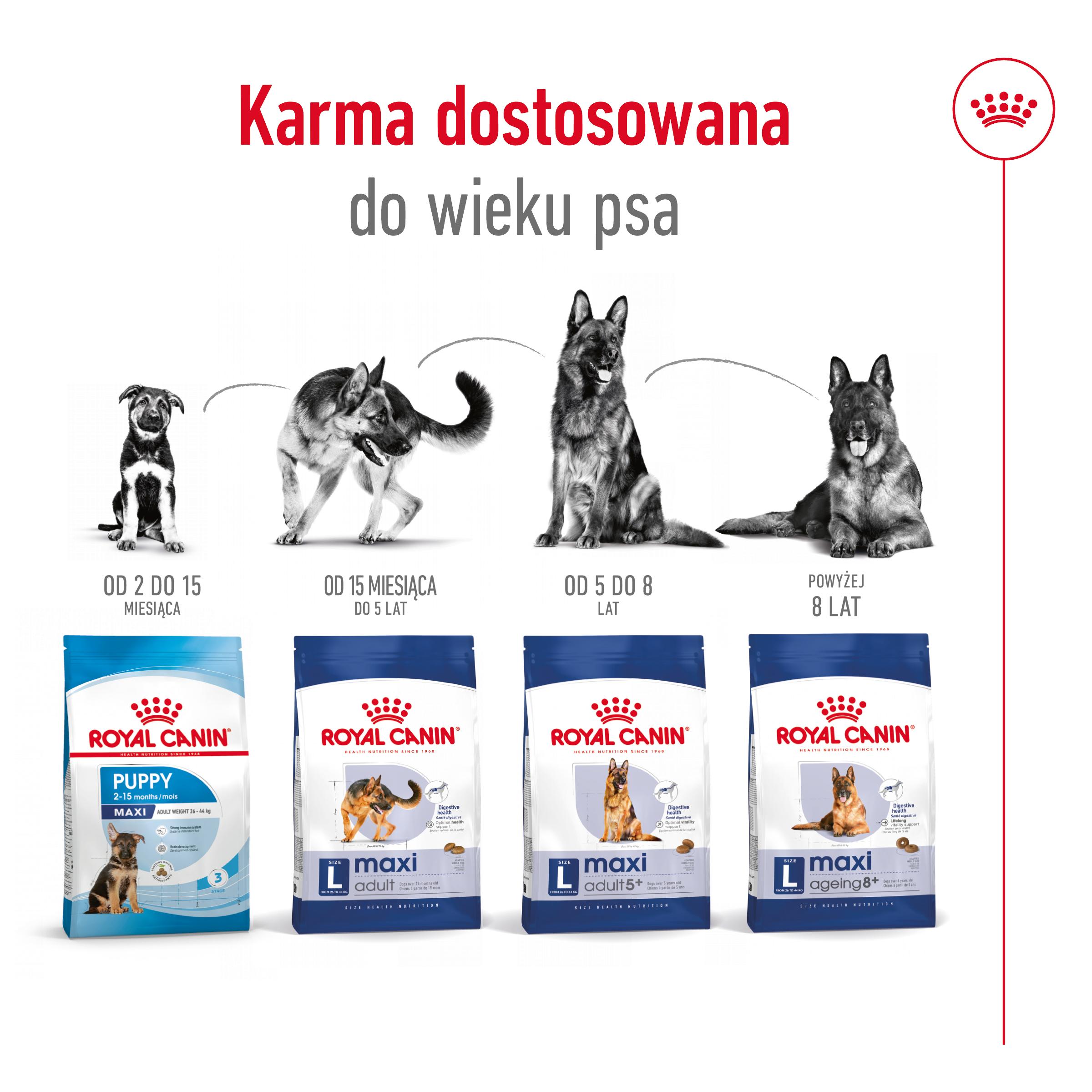 ROYAL CANIN Maxi Adult 15kg - obrazek 8