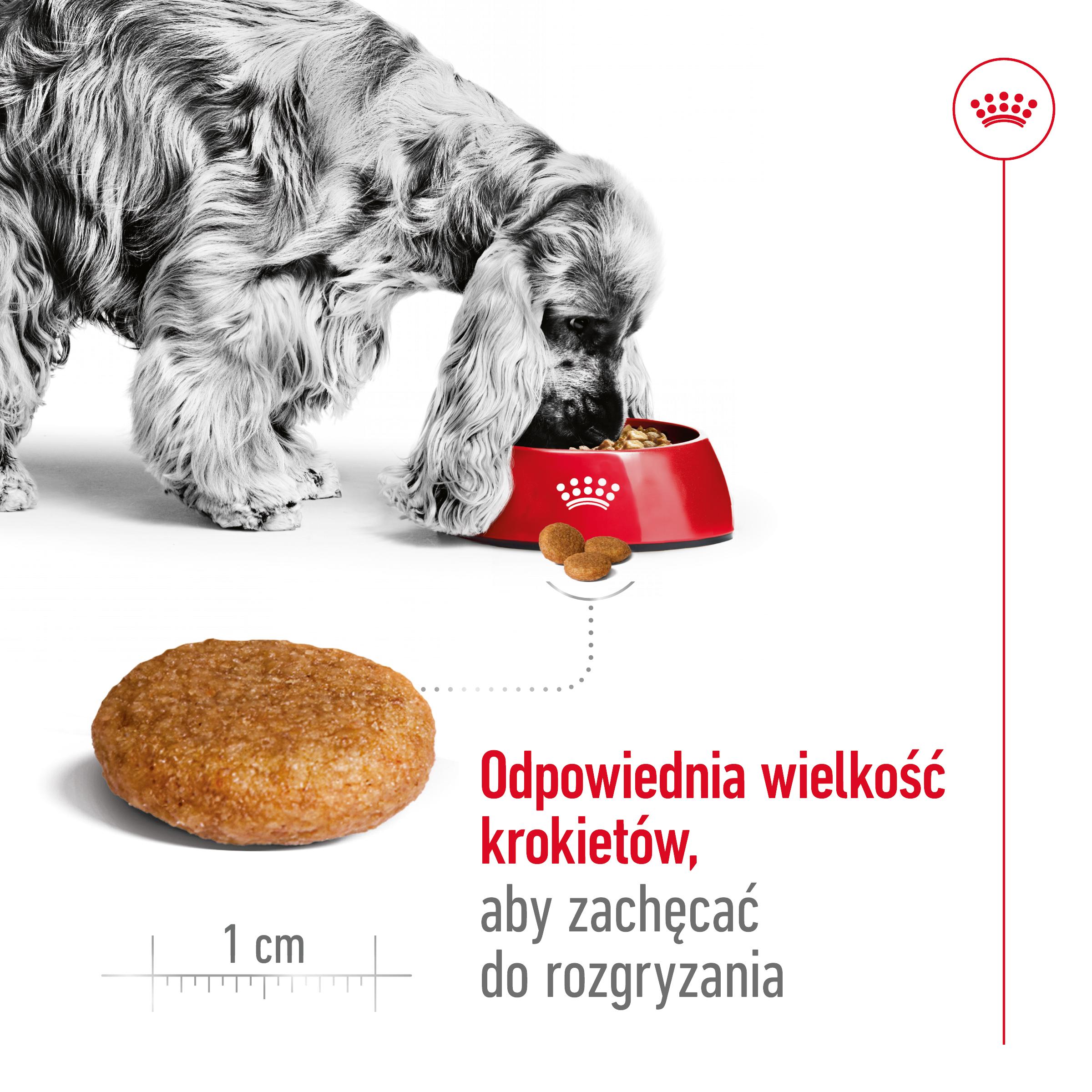 ROYAL CANIN Medium Adult 15kg - obrazek 6