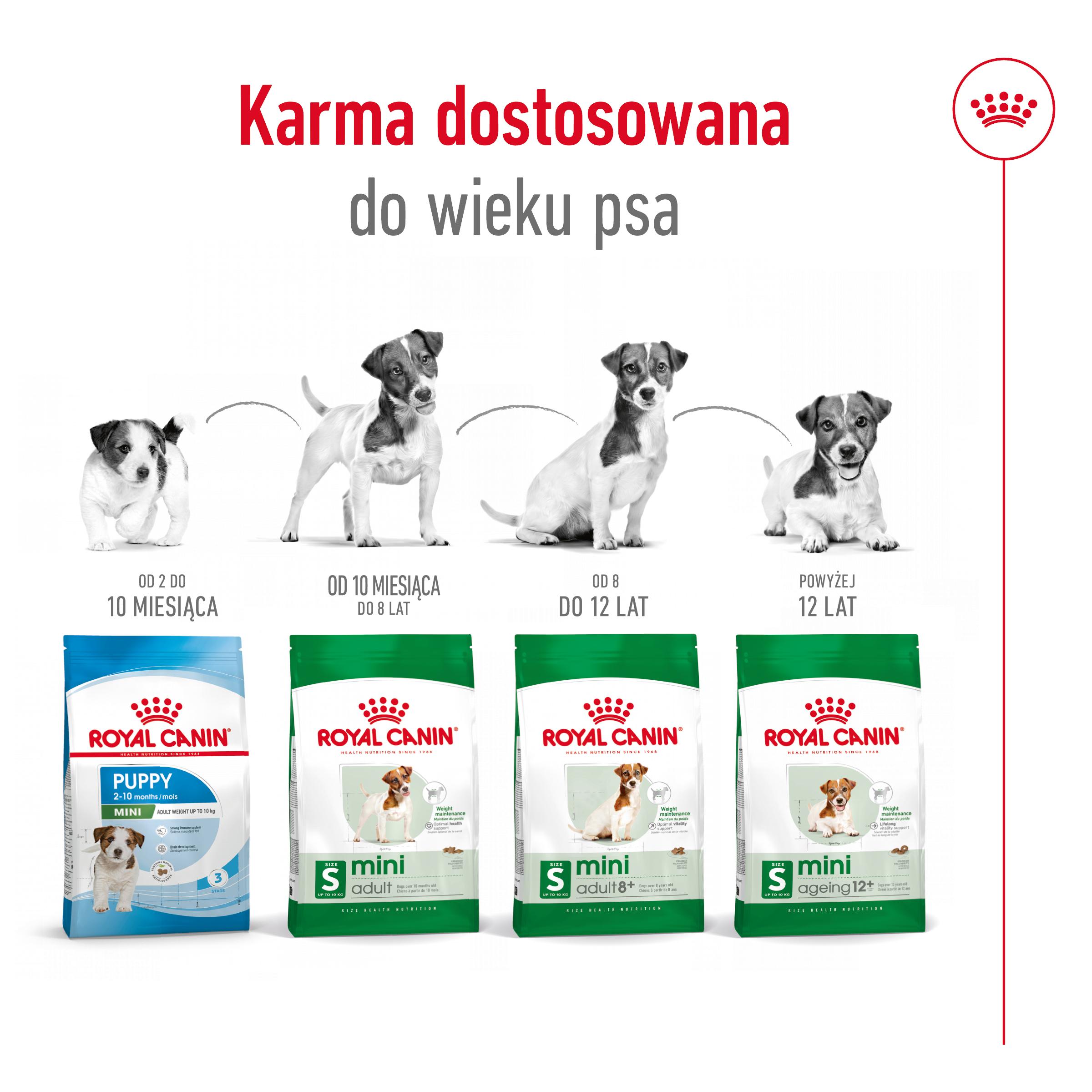 ROYAL CANIN Mini Adult 2kg - obrazek 8