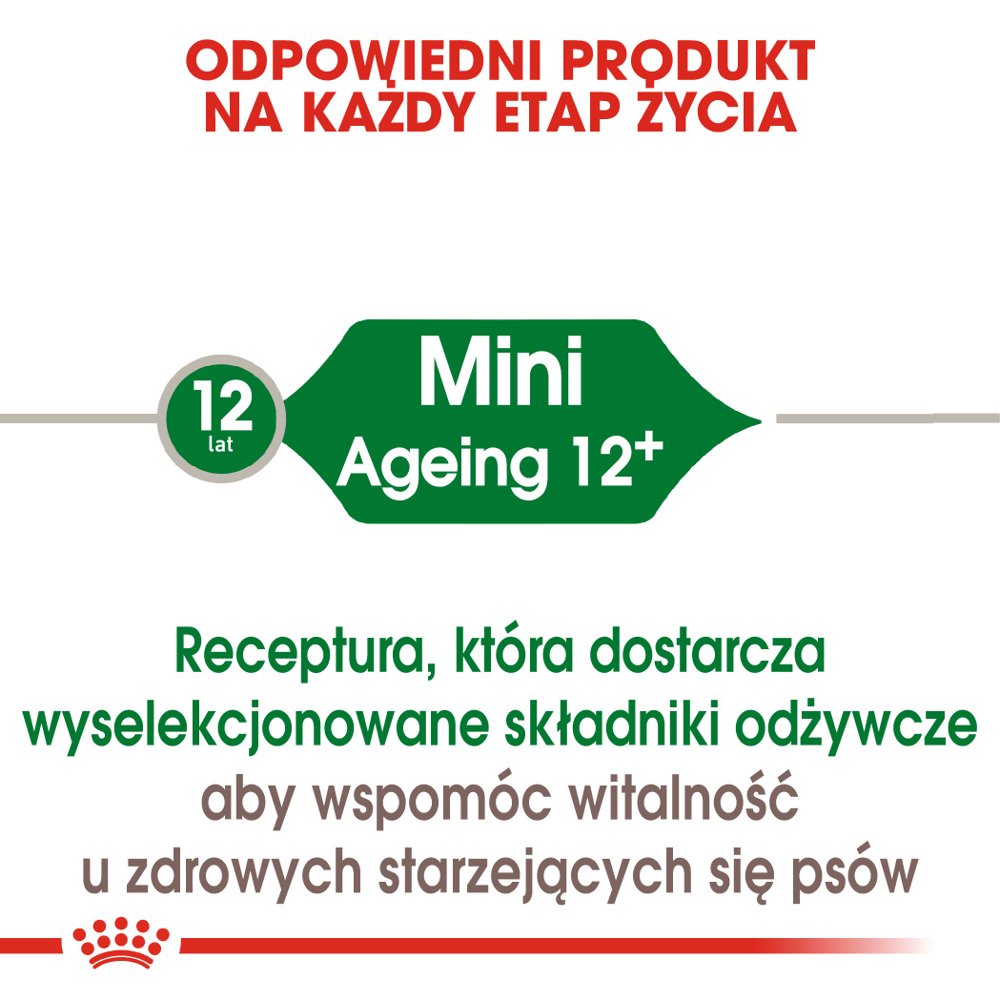ROYAL CANIN Mini Ageing 12+ 3,5kg - obrazek 4