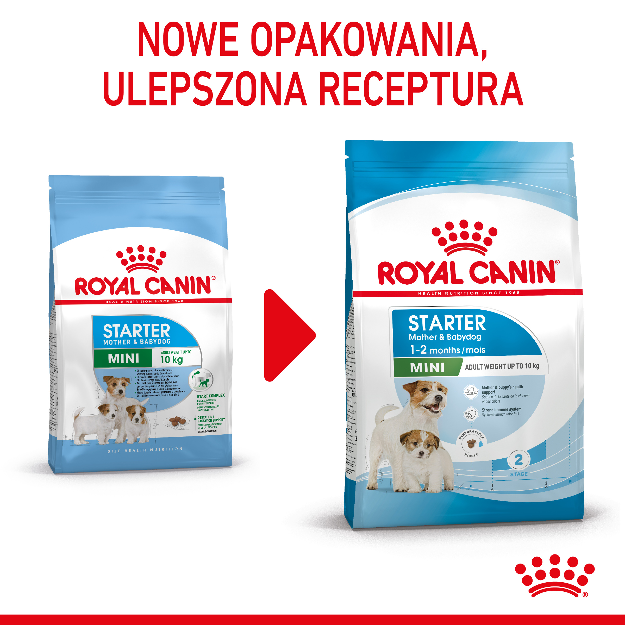 ROYAL CANIN Mini Starter 1kg - obrazek 3