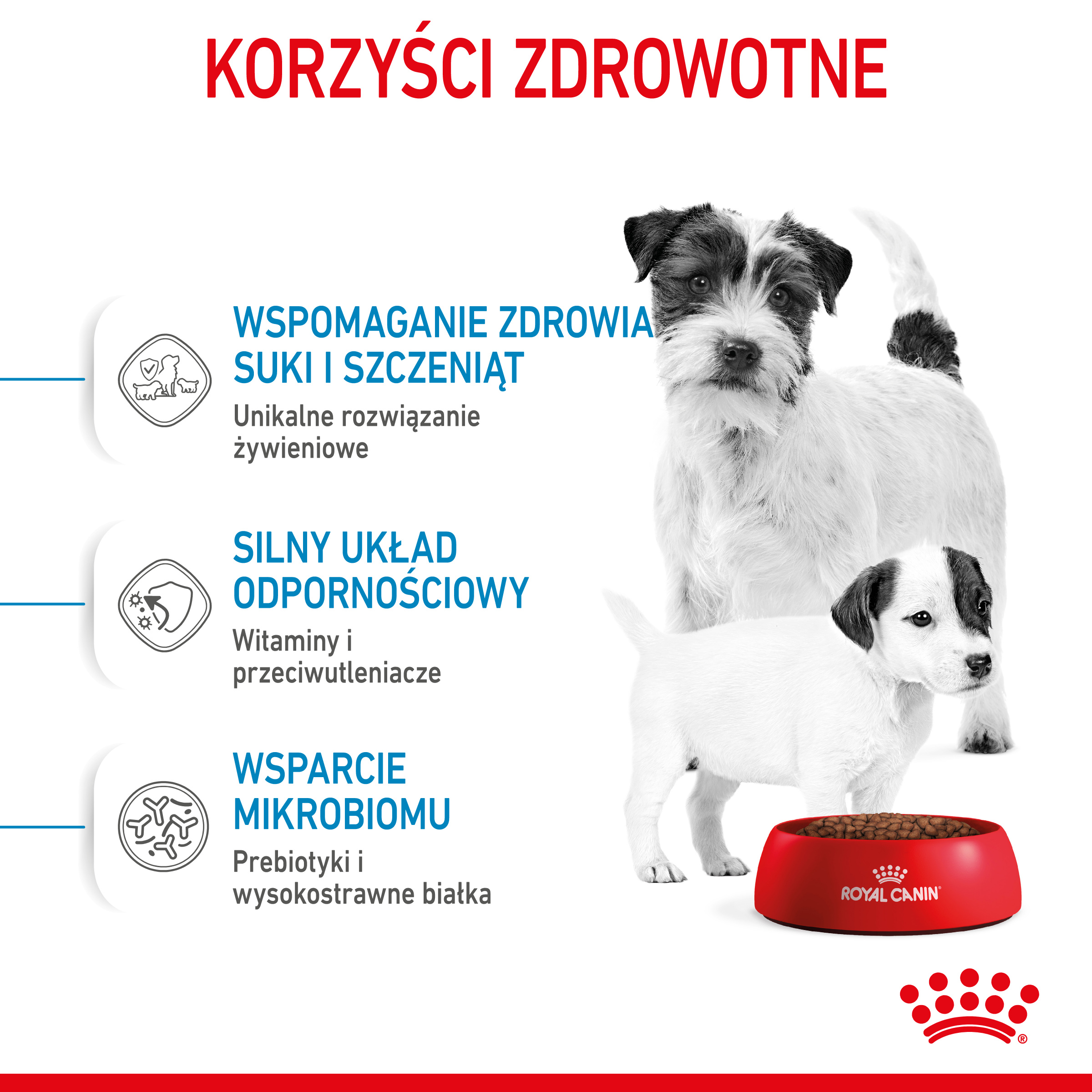 ROYAL CANIN Mini Starter 1kg - obrazek 5