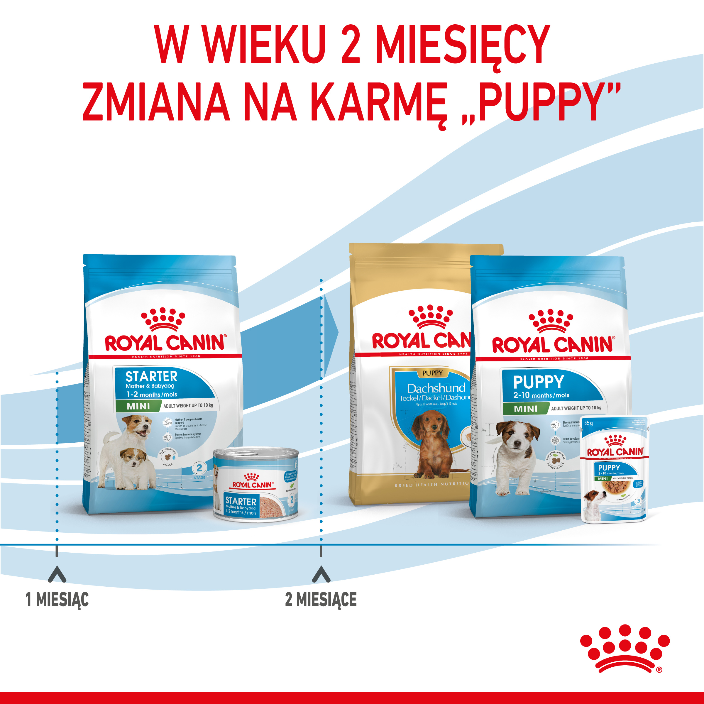 ROYAL CANIN Mini Starter 1kg - obrazek 7